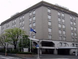Pearl Hotel Mizonokuchi Kawasaki  Kamer foto